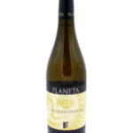 Chardonnay Sicilia Menfi D.O.C.