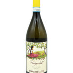 Passiperduti
