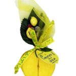 Sapone Vegetale Limone