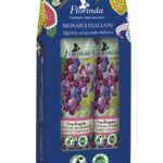Set Crema Mani Doccia Shampoo Uva Fragola